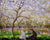 The Story Behind Springtime by Claude Monet