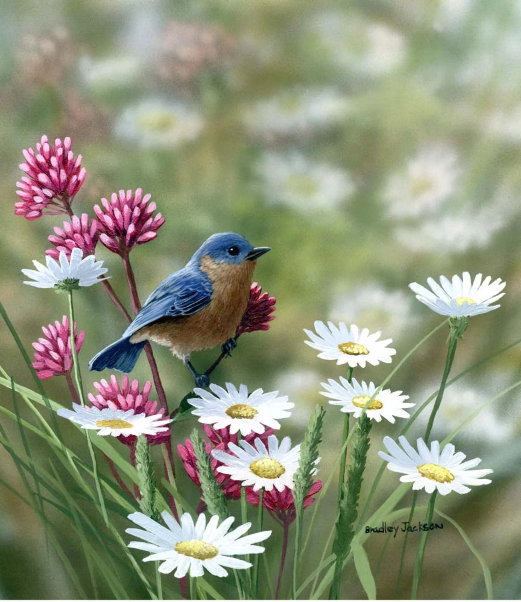 Bradley Jackson Art: An Analysis of His Masterpiece - Bluebird and Daisies