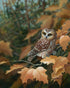 Autumn Leaves Owl Bradley Jackson