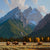 Cathedral Bison Grand Tetons Jimmy Dyer
