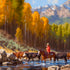 Cowboy Life Jimmy Dyer