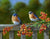 Harold & Gracie   Eastern Bluebirds   Bradley Jackson