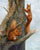 Red Squirrels Hilary Mayes