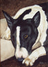 Bulldog Terrier Quiet Repose Tanya Amberson