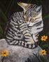 Garden Kitty Tanya Amberson