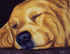 Golden Daydreams Tanya Amberson