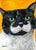 The Tuxedo Cat is Dressed for Success Tanya Amberson