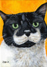 The Tuxedo Cat is Dressed for Success Tanya Amberson