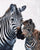 Zebra and Foal  Hilary Mayes