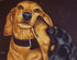 Dachshunds The Kiss Tanya Amberson