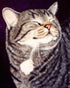 ImPurfect Tanya Amberson