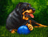 Rot Got Game Tanya Amberson