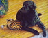 Sunlight Companions Tanya Amberson