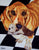 Sweet Basset Tanya Amberson
