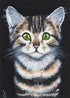 Tabby Kitten Tanya Amberson