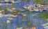 Water Lilies   Claude Monet